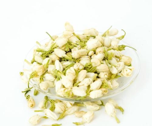 饮用茉莉花茶的好处有哪些?禁忌是什么