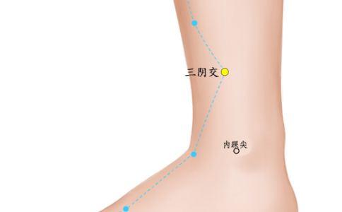 上海上门推拿时如何快速找准穴位?